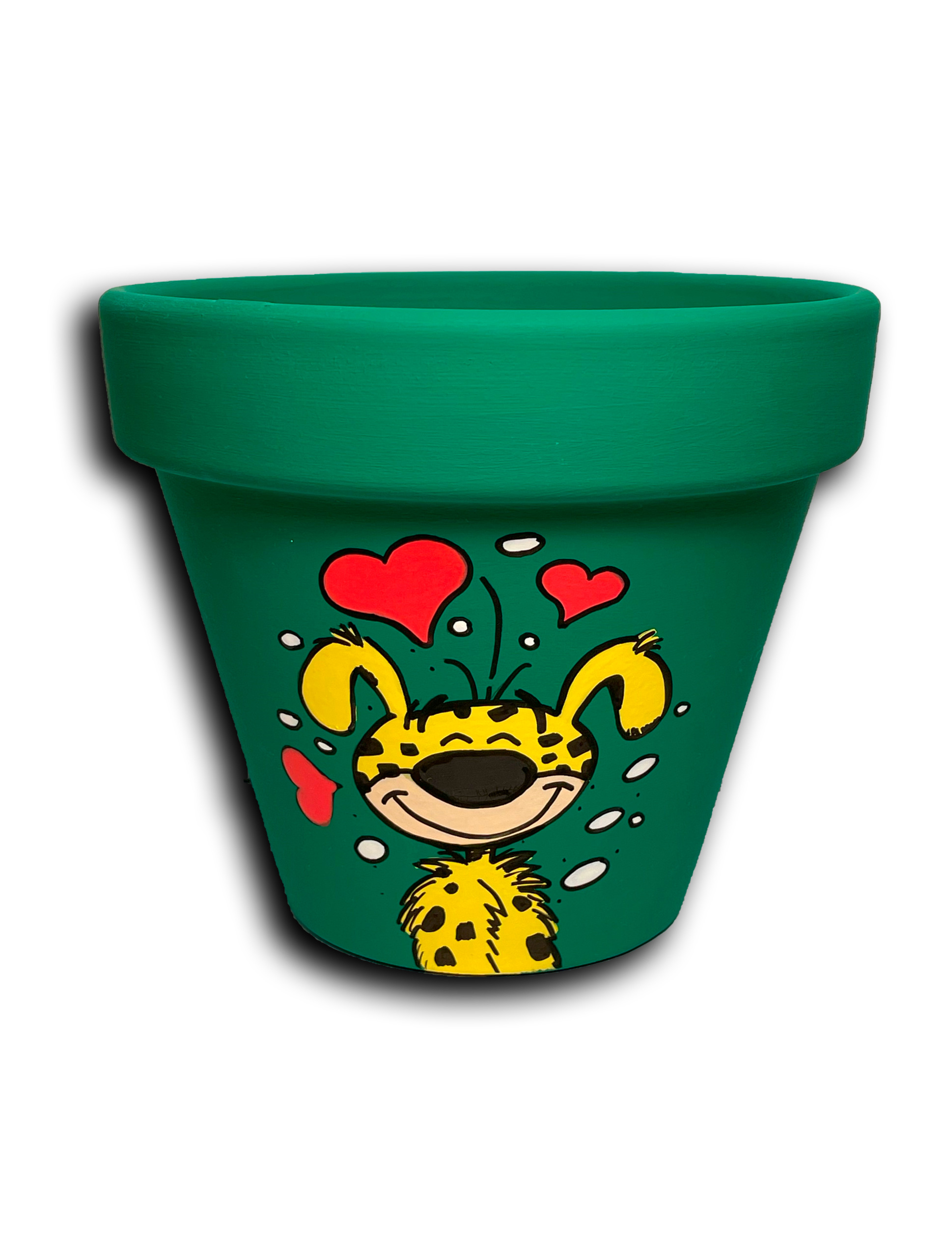 Maceta “Sonrisa salvaje”