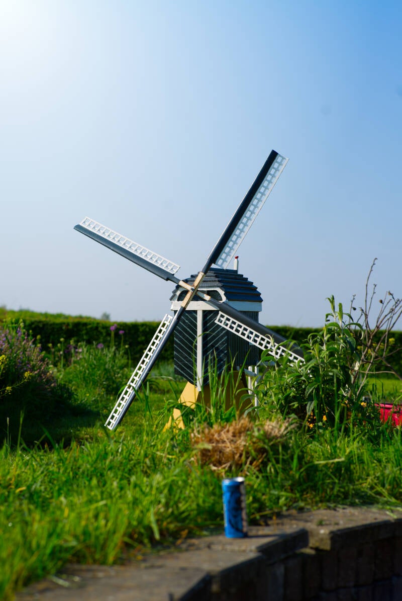 _dsc0341-standard.jpg