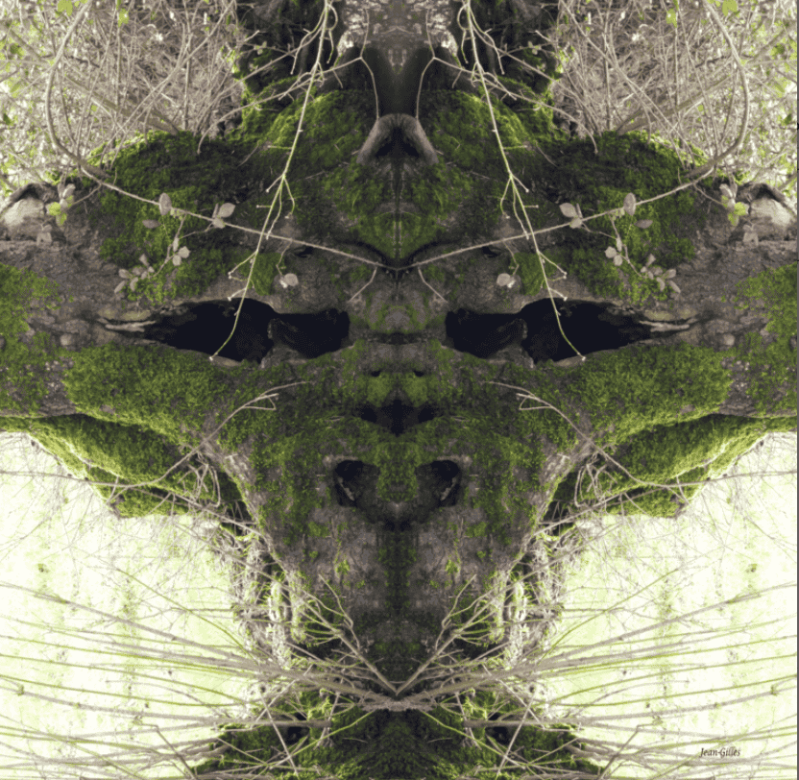 arbre mémoire