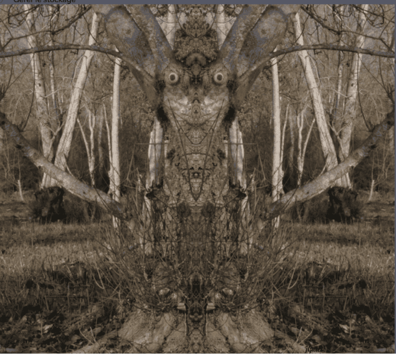 arbre fou