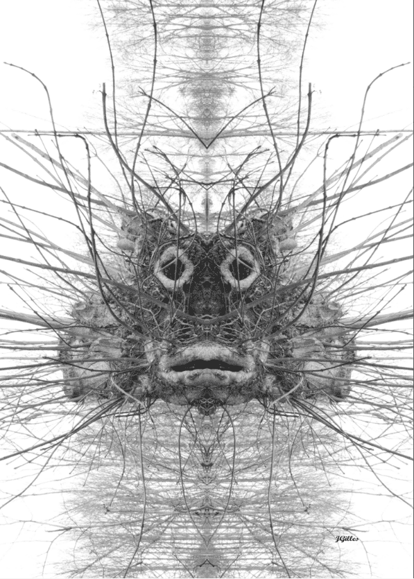 arbre poisson