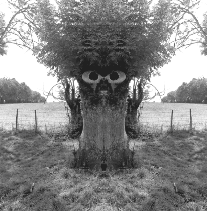 arbre intello