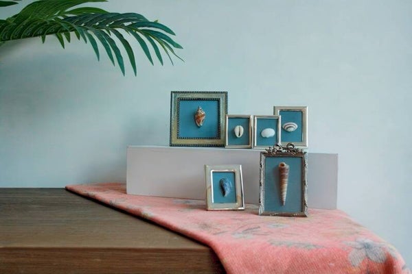 Mini lijstjes met schelpen