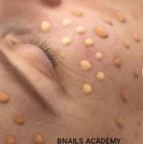 Cursos BB GLOW y principios activos online