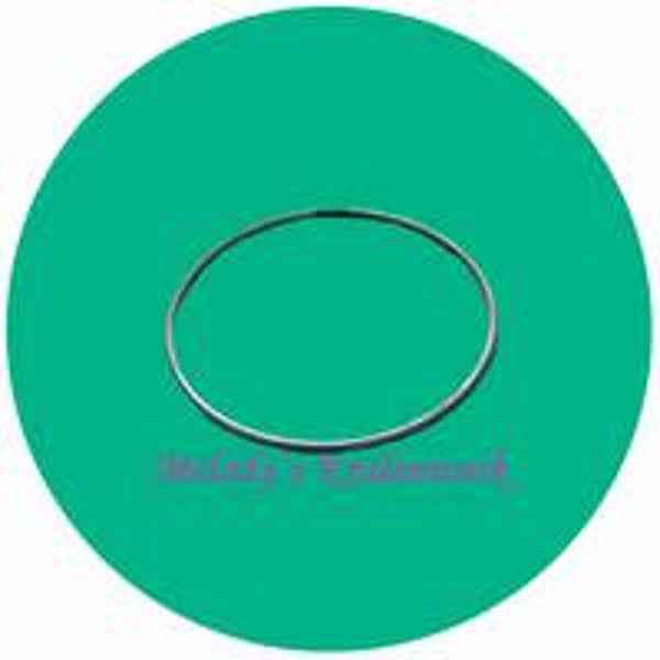 Metalen ring 9,5 cm