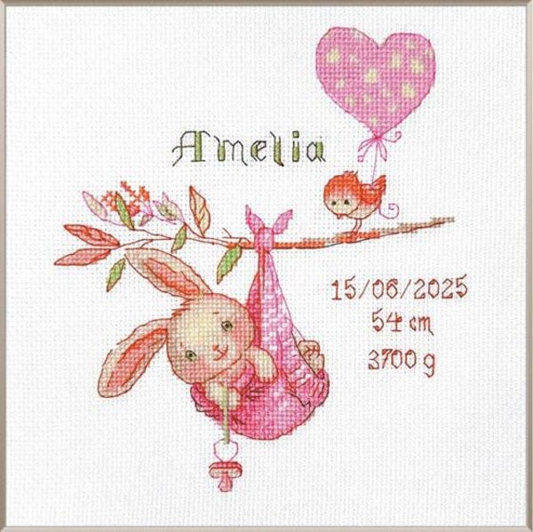 Borduurpakket - Girl Birth Sampler