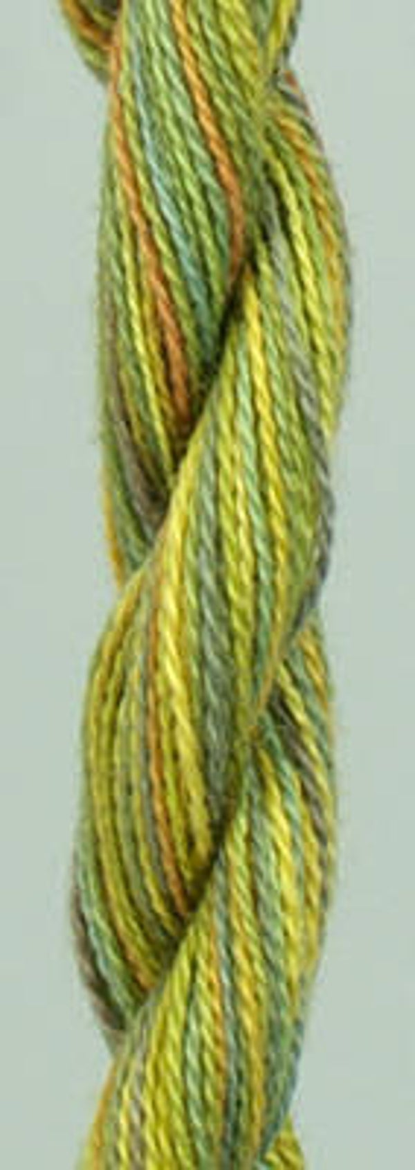 Wildflowers - Woodlands - 076