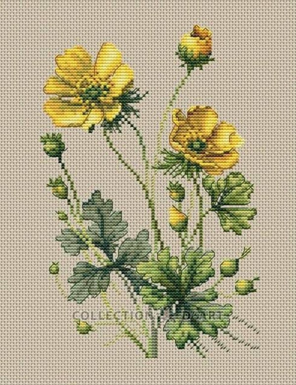 Borduurpakket - Buttercups