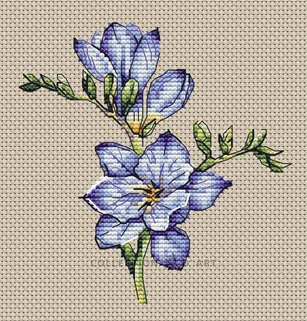 Borduurpakket - Freesia