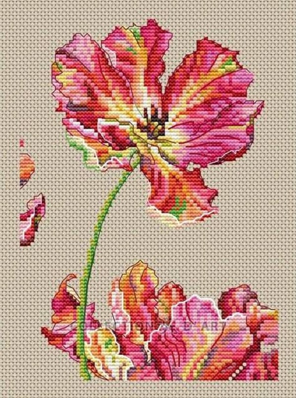 Borduurpakket - Tulip