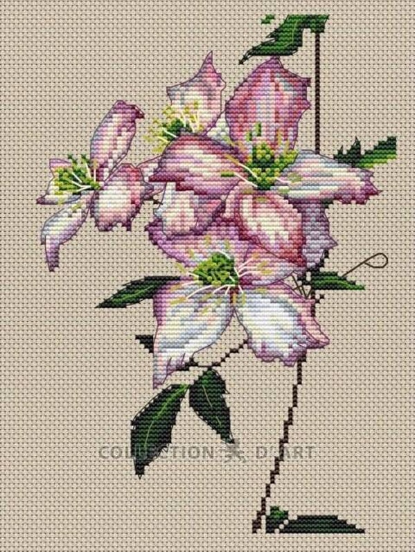 Borduurpakket - Clematis