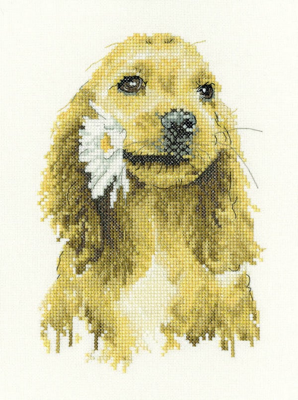 Borduurpakket - Daisy Cocker Spaniel