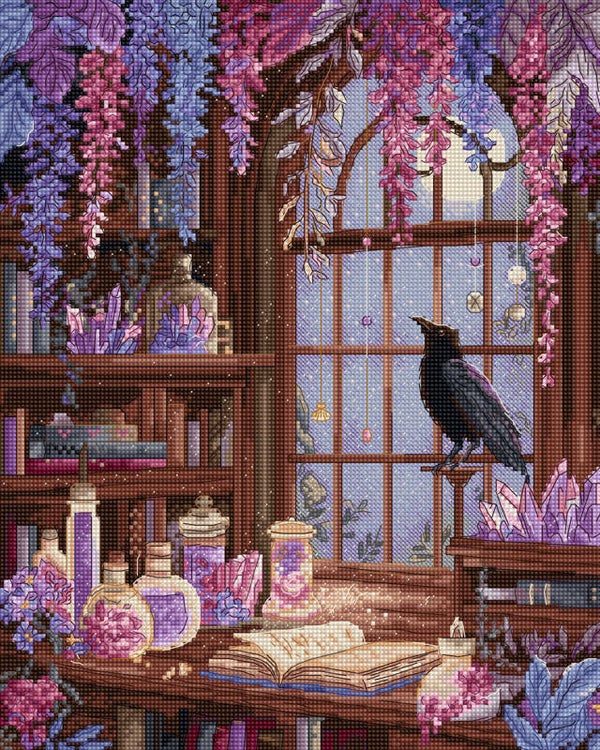 Borduurpakket - Raven's Library