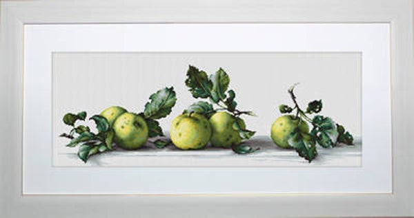 Borduurpakket - Still Life with Apples