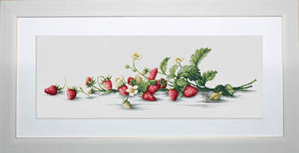 Borduurpakket - Etude with Strawberries