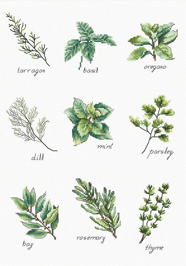 Borduurpakket - Spices and Herbs