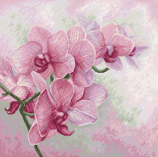 Borduurpakket - Graceful Orchids