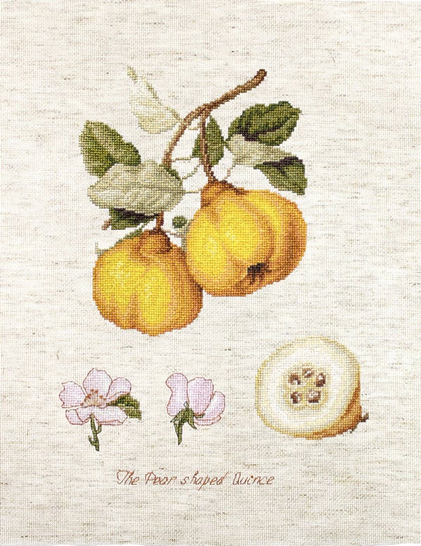Borduurpakket - The Pear Shaped Quince