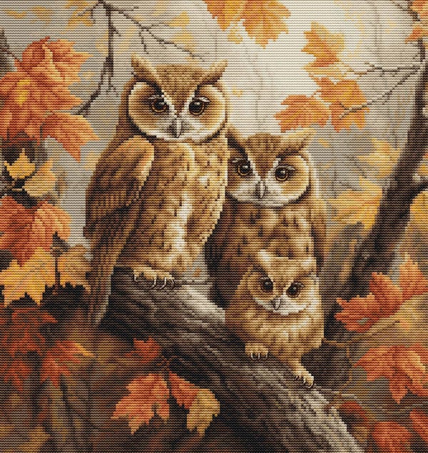 Borduurpakket - The Owls Family