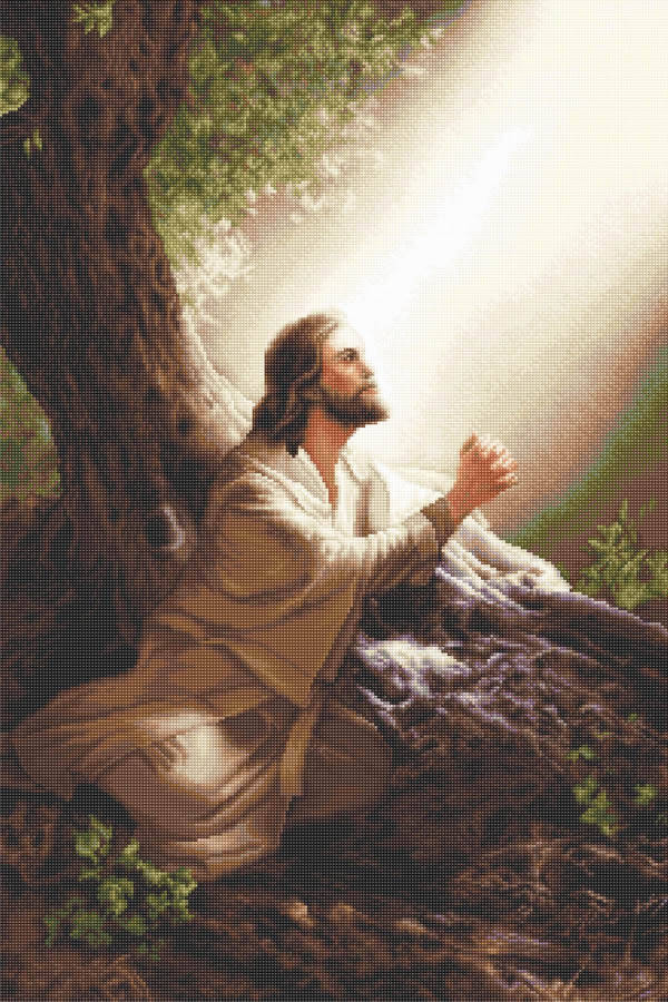 Petit Point borduurpakket - Jesus Christ