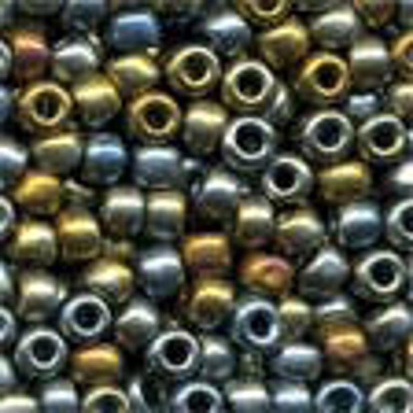 Pony Beads 6/0 - Abalone - 37