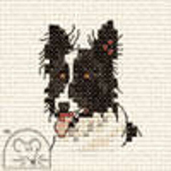 Borduurpakket - Border Collie