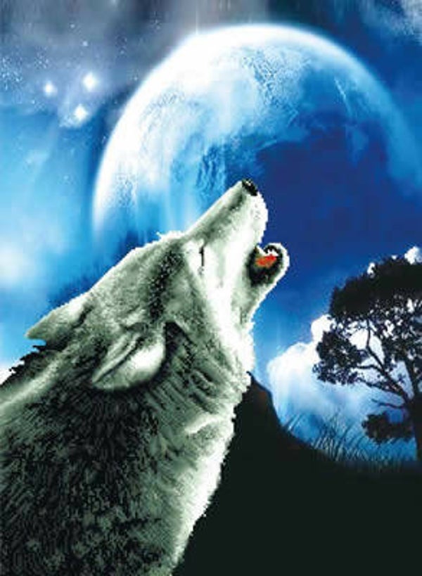 Voorbedrukt Borduurpakket - Howling Wolf