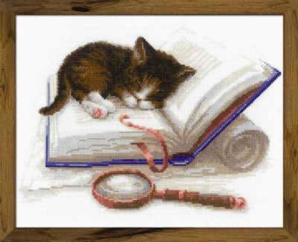 Borduurpakket - Kitten on the Book