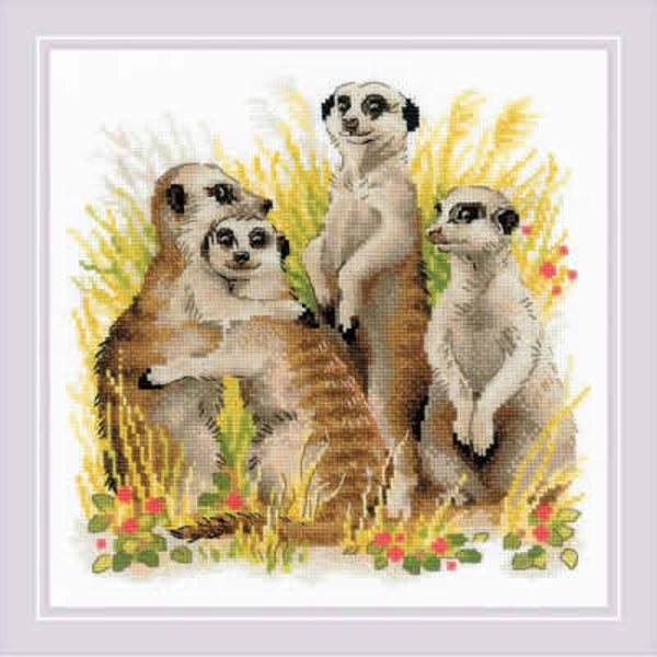 Borduurpakket - Meerkats