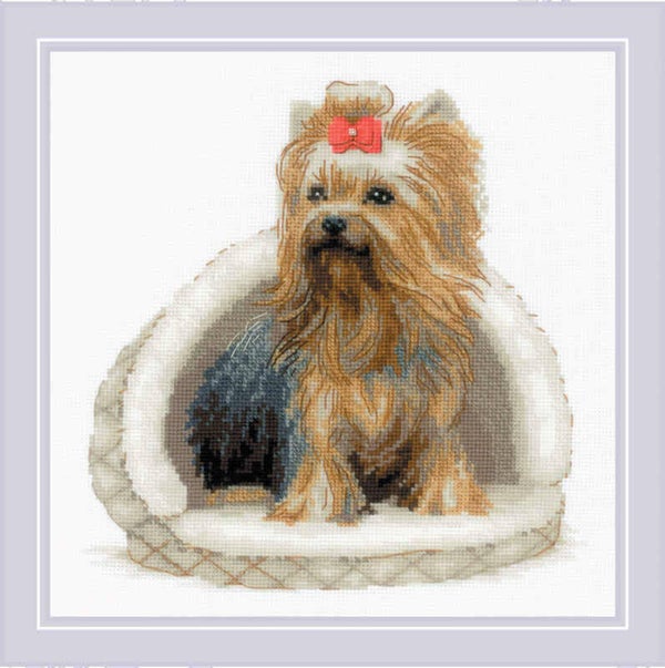Borduurpakket - Yorkshire Terrier