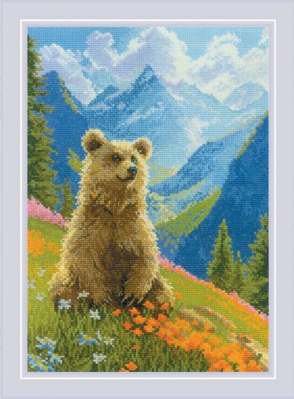 Borduurpakket - Clumsy Bear
