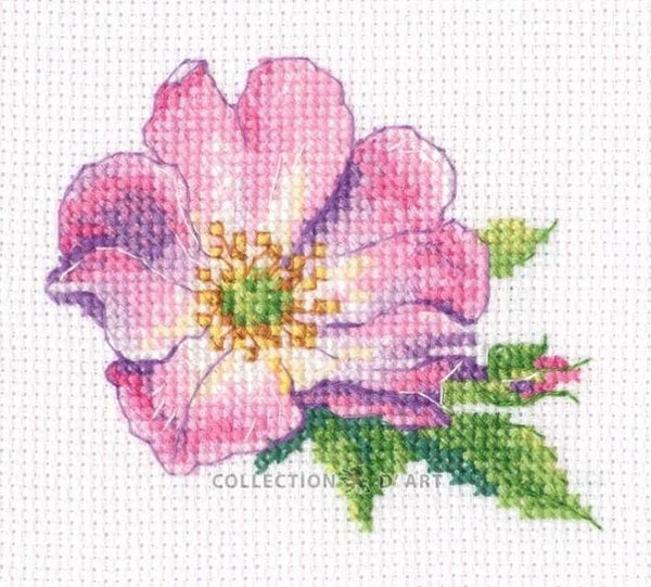 Borduurpakket - Wild Rose