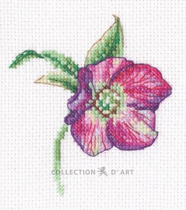 Borduurpakket - Hellebore