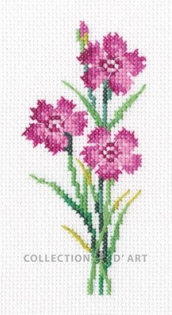 Borduurpakket - Carnation