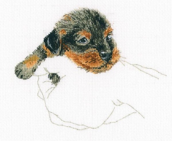 Borduurpakket - In Palms - Dog