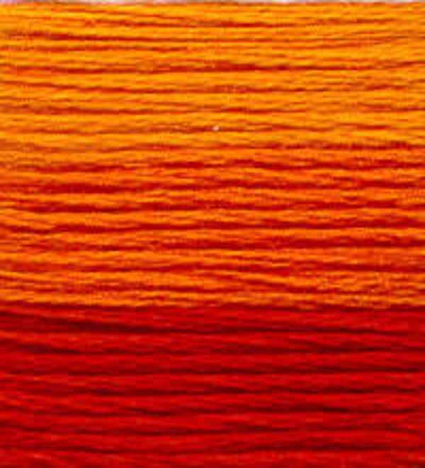 Venus Borduurgaren ombré #25 - 4