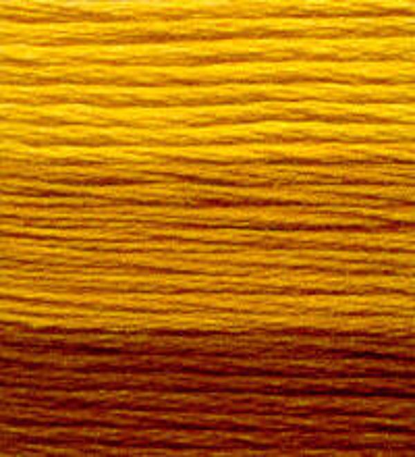 Venus Borduurgaren ombré #25 - 5
