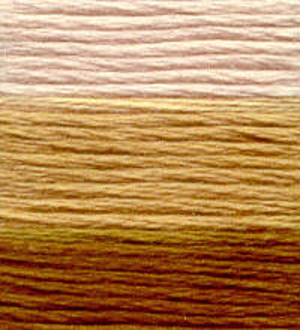 Venus Borduurgaren ombré #25 - 6