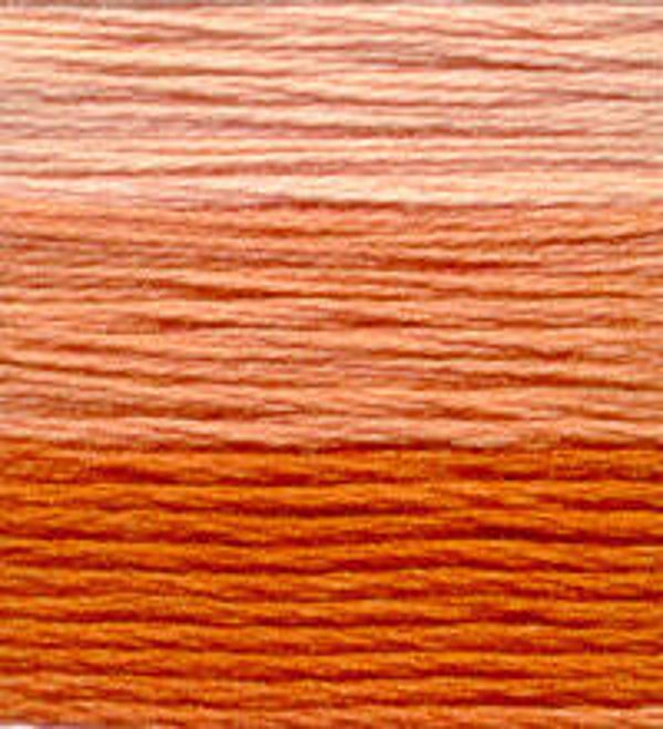 Venus Borduurgaren ombré #25 - 7