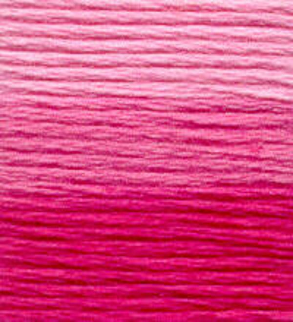 Venus Borduurgaren ombré #25 - 8