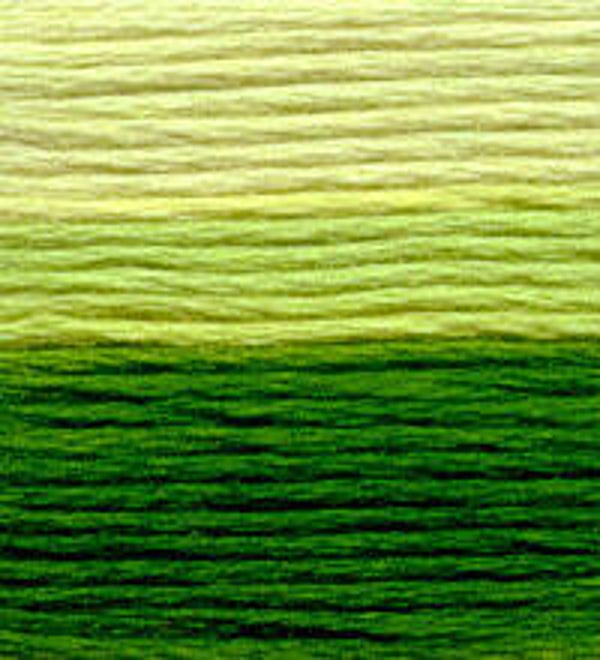 Venus Borduurgaren ombré #25 - 13