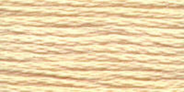 Venus Borduurgaren Perlé #8, bol 10 gram - 2641