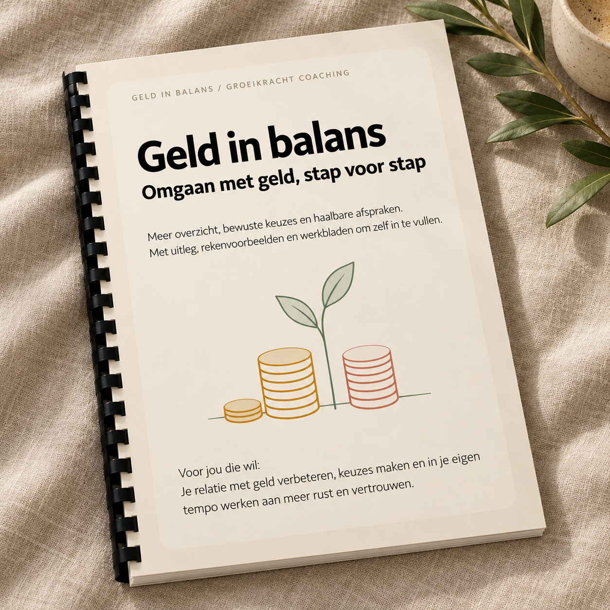 Geld in balans — Omgaan met geld, stap voor stap