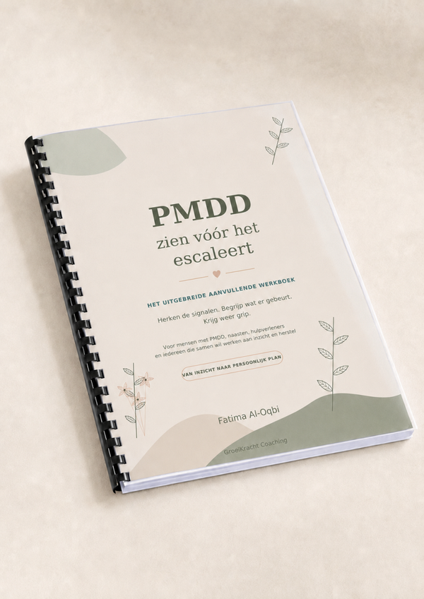 PMDD Werkboek