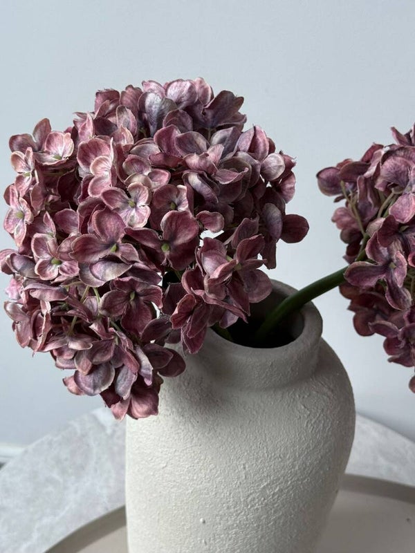 Hortensia oud roze