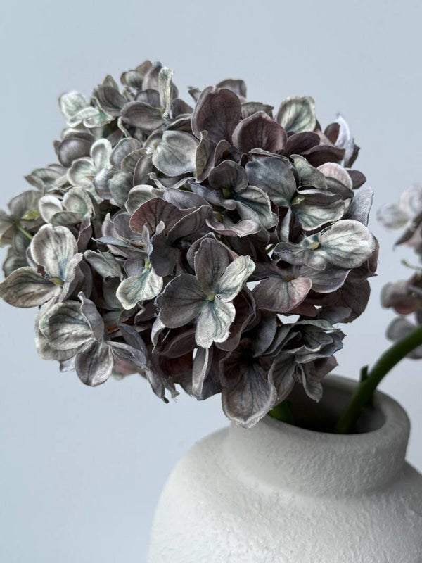 Hortensia grijs/groen