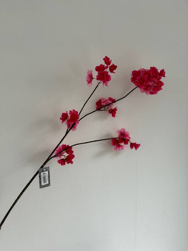 Bloesemtak | Roze