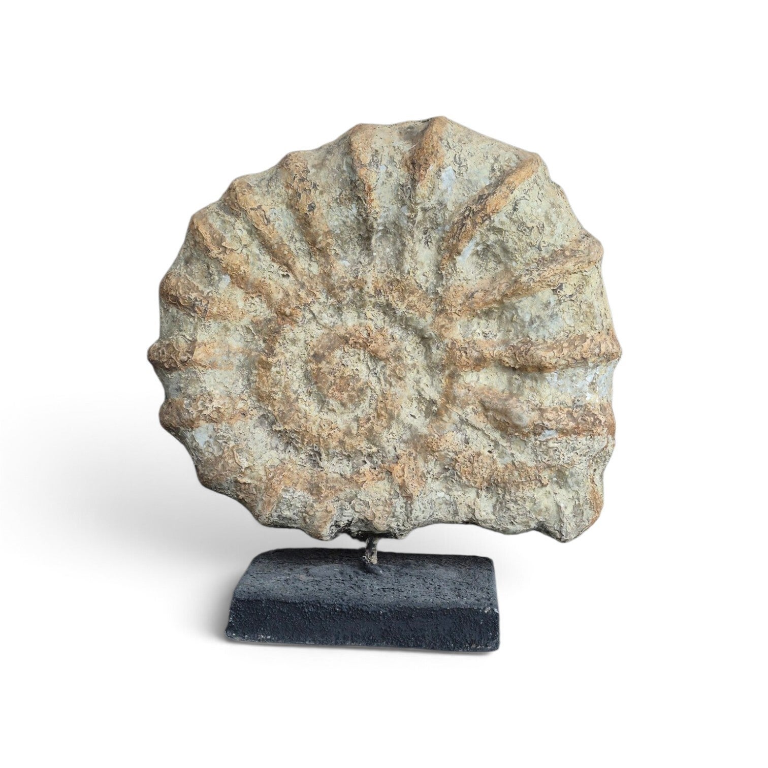 Ornament Schelp