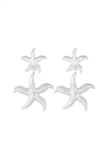 Oorbellen Star - Zilver