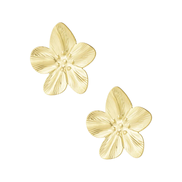 Oorbellen Goldie - Goud